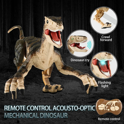 Hot Bee Remote Control Dinosaur